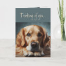 Search for golden retriever cards Miss you