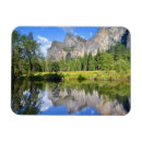 Search for fall tree magnets Sky