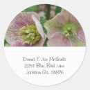 Search for hellebore stickers Nature