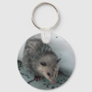 Search for possum key rings Animals