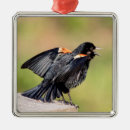 Search for wing christmas tree decorations Nature