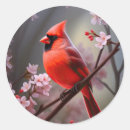 Search for northern red cardinals stickers Nature