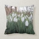 Search for snowdrop cushions Green