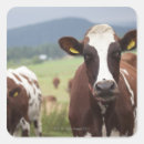 Search for stand together stickers Outdoors