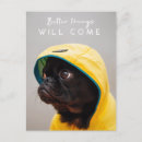 Search for raincoat postcards Dog