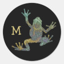 Search for green tree frog stickers Amphibians