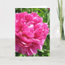 Search for fuchsia cards Peony