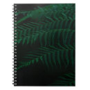 Search for ferns photography Green