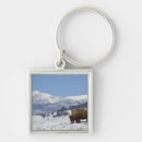 Search for american mammals key rings Nature