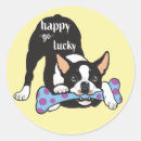 Search for happy go lucky stickers Illustration