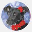 Search for daphne stickers Dog