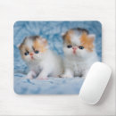 Search for calico mousepads Pets