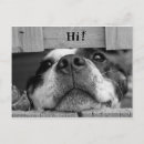 Search for cute postcards Friendship