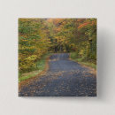 Search for fall foliage badges Rural