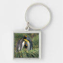 Search for penguin key rings Animals