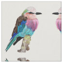Search for bird fabric Watercolour