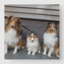 Search for sheltie art Pets