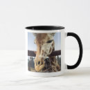Search for zoo photo mugs Giraffe