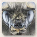 Search for antenna barware Animal
