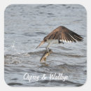 Search for catching fish stickers Wildlife