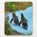 Search for aloner mousepads Bird