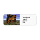 Search for stones return address labels Abstract