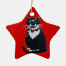 Search for kitten star christmas tree decorations Cute