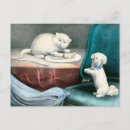 Search for fido Puppy