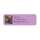 Search for irises labels Floral