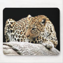 Search for boring mousepads Cat
