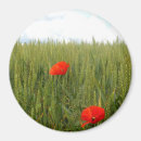 Search for wheat magnets Green