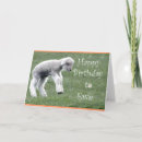 Search for lamb birthday cards Funny