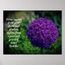 Search for allium posters Flowers
