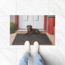 Search for labrador dog garden decor Pet