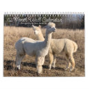 Search for bluebird calendars Nature photography