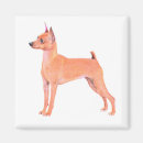 Search for miniatures magnets Cute