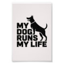 Search for dog quote art Funny dog saying