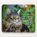 Search for maine coon cat mousepads Cats