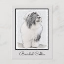 Search for bearded postcards Beardie