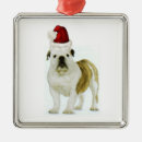 Search for english bulldog christmas tree decorations Santa