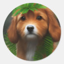 Search for white fur stickers Dog