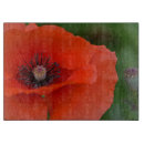 Search for red poppies chopping boards Nature