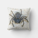 Search for huntsman Huntsman spider