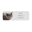 Search for shipping options Cat