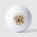 Search for labrador retriever golf balls Cute