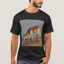 Search for antelope clothing Buck