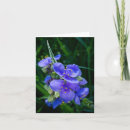 Search for closeup invitations Flower