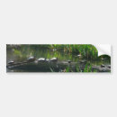 Search for turtles bumper stickers Green