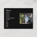 Search for wolf business cards Outdoor