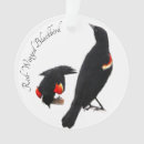 Search for blackbird christmas tree decorations Feather